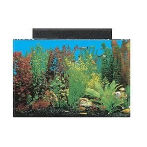 seaclear acrylic acuario