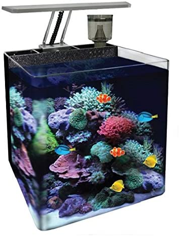 ocean free nano acuarioç